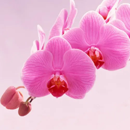 �m����