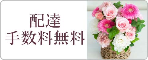 �z�B�萔�������̉�