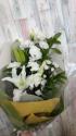 �t�H�g�M�������[�摜