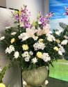 �t�H�g�M�������[�摜