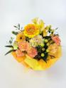 �t�H�g�M�������[�摜
