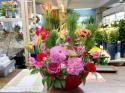 �t�H�g�M�������[�摜