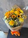 �t�H�g�M�������[�摜