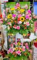 �t�H�g�M�������[�摜