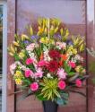 �t�H�g�M�������[�摜