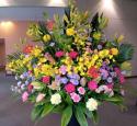 �t�H�g�M�������[�摜