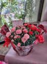 �t�H�g�M�������[�摜