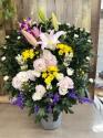 �t�H�g�M�������[�摜