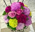 �t�H�g�M�������[�摜