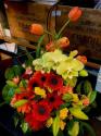 �t�H�g�M�������[�摜