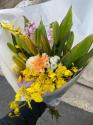 �t�H�g�M�������[�摜