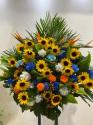 �t�H�g�M�������[�摜