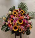 �t�H�g�M�������[�摜
