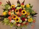 �t�H�g�M�������[�摜