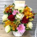 �t�H�g�M�������[�摜