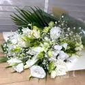 �t�H�g�M�������[�摜