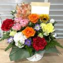�t�H�g�M�������[�摜