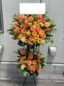 �t�H�g�M�������[�摜