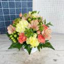 �t�H�g�M�������[�摜
