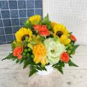 �t�H�g�M�������[�摜