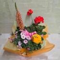 �t�H�g�M�������[�摜