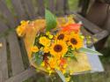 �t�H�g�M�������[�摜