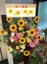 �t�H�g�M�������[�摜