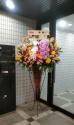 �t�H�g�M�������[�摜