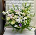 �t�H�g�M�������[�摜
