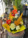 �t�H�g�M�������[�摜
