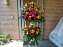 �t�H�g�M�������[�摜