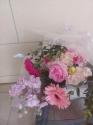 �t�H�g�M�������[�摜