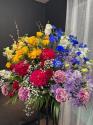 �t�H�g�M�������[�摜