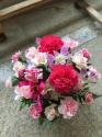 �t�H�g�M�������[�摜