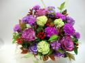 �t�H�g�M�������[�摜