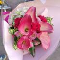 �t�H�g�M�������[�摜