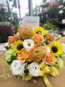 �t�H�g�M�������[�摜
