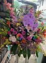 �t�H�g�M�������[�摜