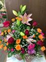 �t�H�g�M�������[�摜