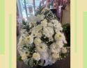 �t�H�g�M�������[�摜