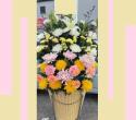 �t�H�g�M�������[�摜