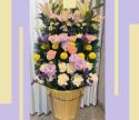 �t�H�g�M�������[�摜
