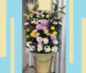 �t�H�g�M�������[�摜