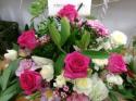 �t�H�g�M�������[�摜