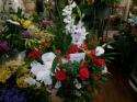 �t�H�g�M�������[�摜