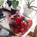 �t�H�g�M�������[�摜