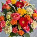 �t�H�g�M�������[�摜