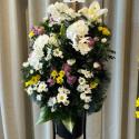 �t�H�g�M�������[�摜