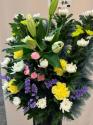 �t�H�g�M�������[�摜