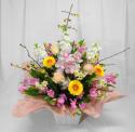 �t�H�g�M�������[�摜